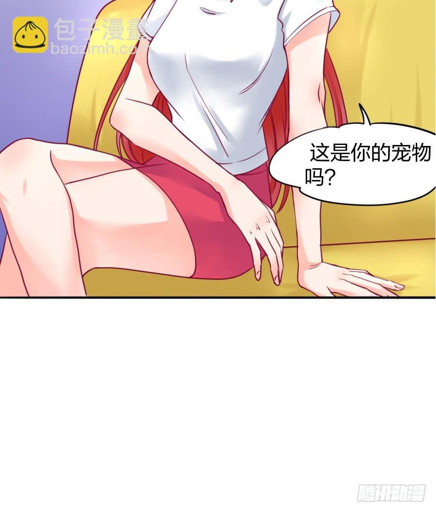 咖啡屋的奇葩相亲