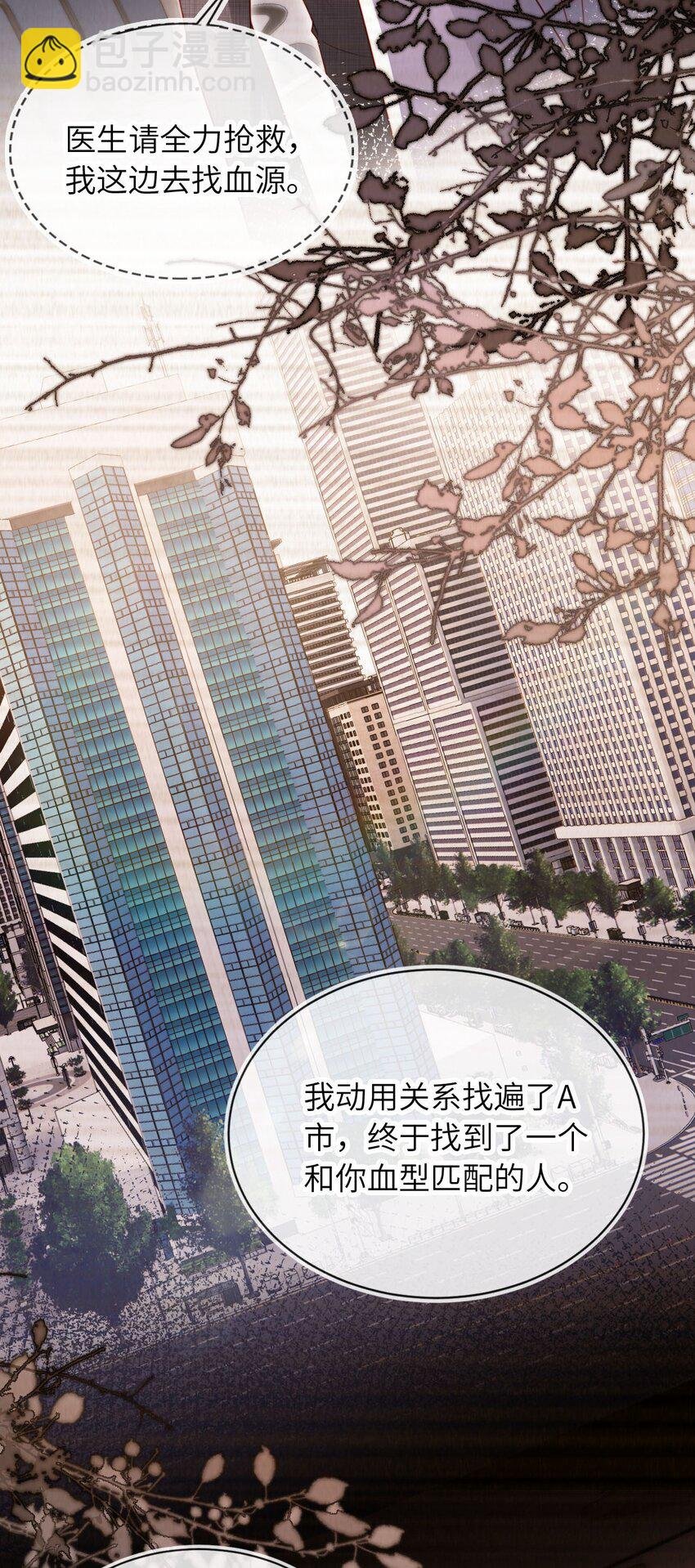 041 保护