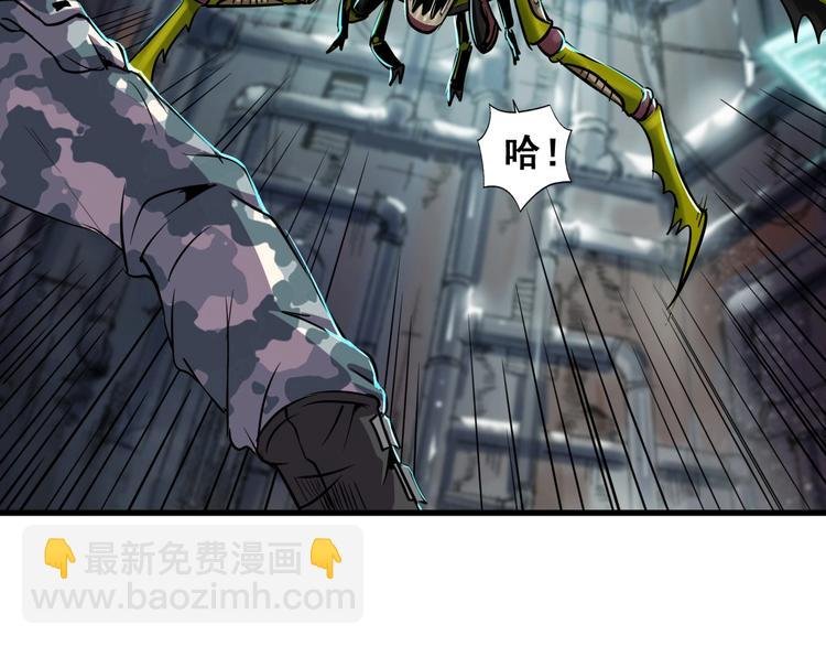 第8话 联手？