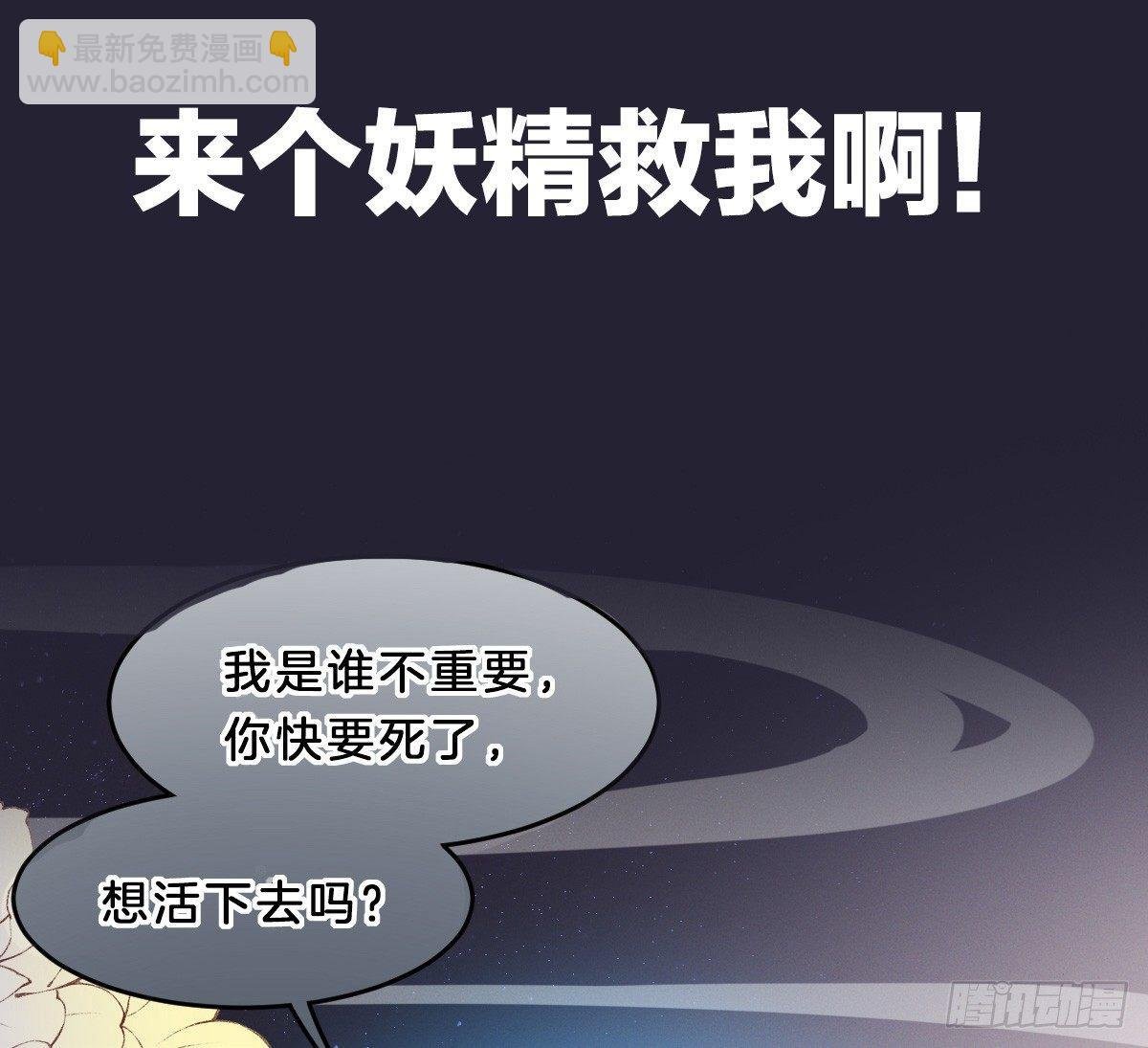 预告 介绍下我的后宫