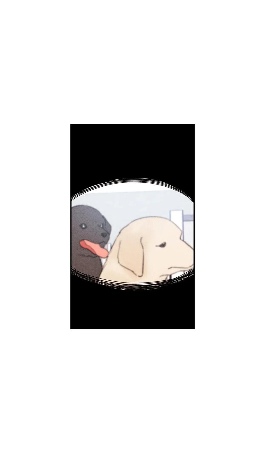 12 怦然心动