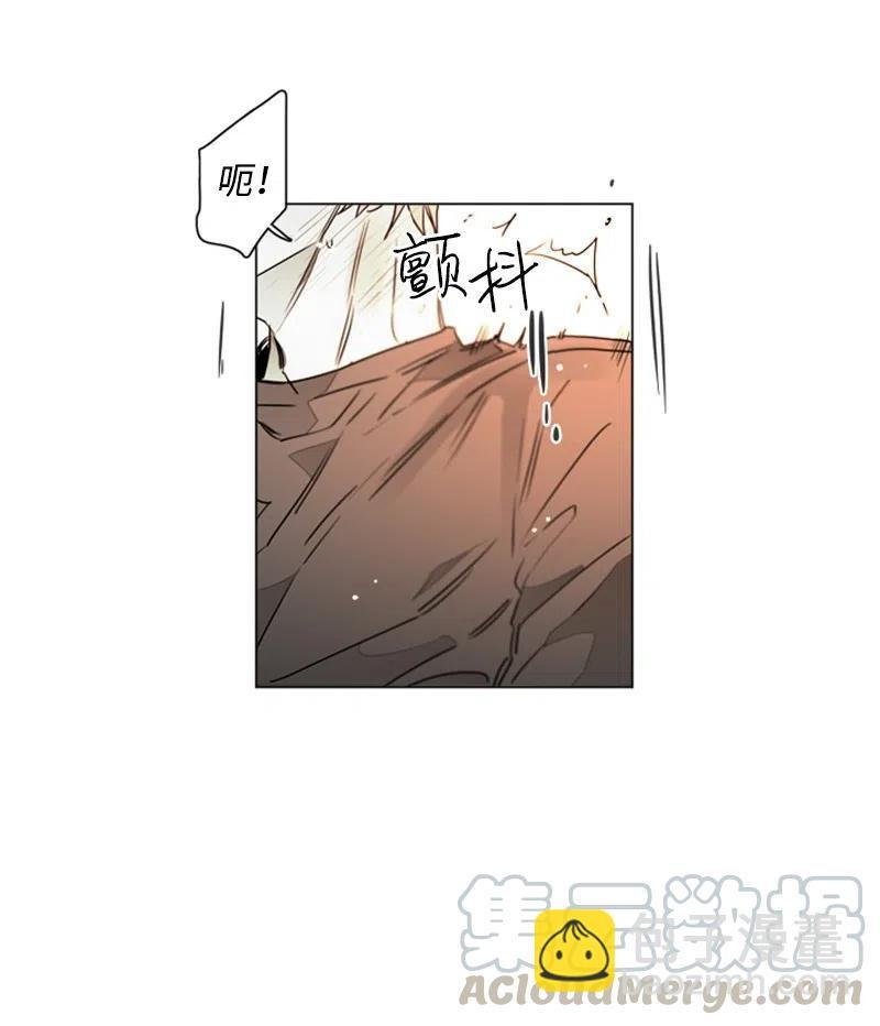 14 沦陷