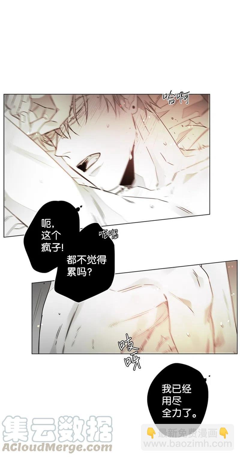 14 沦陷