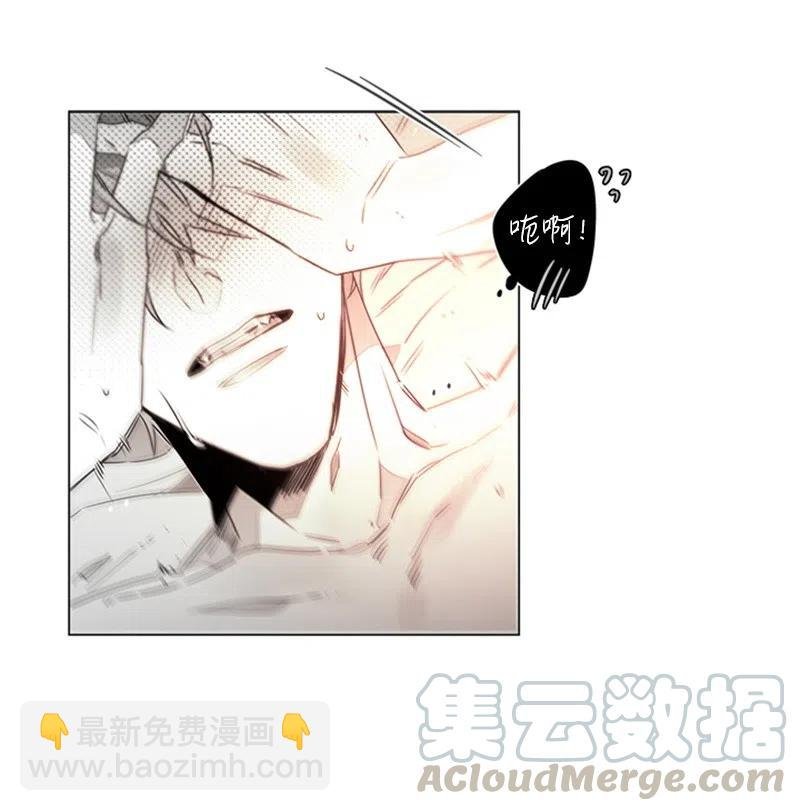 14 沦陷