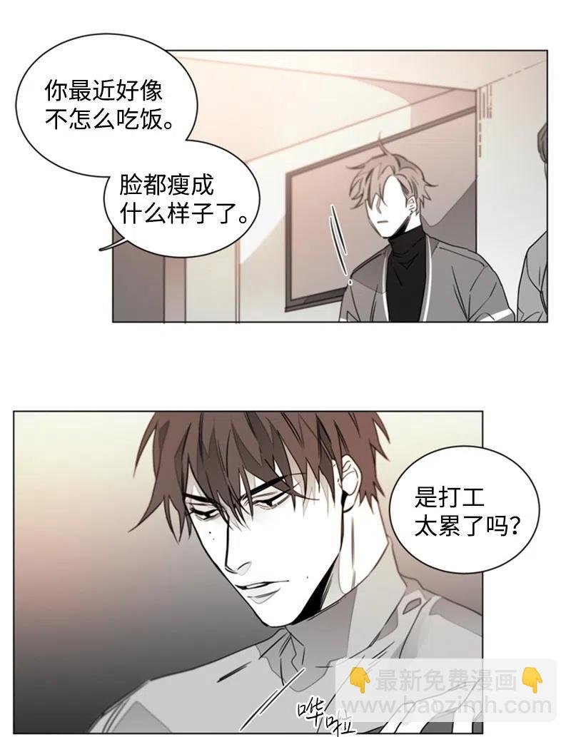 15 狐狸和狼