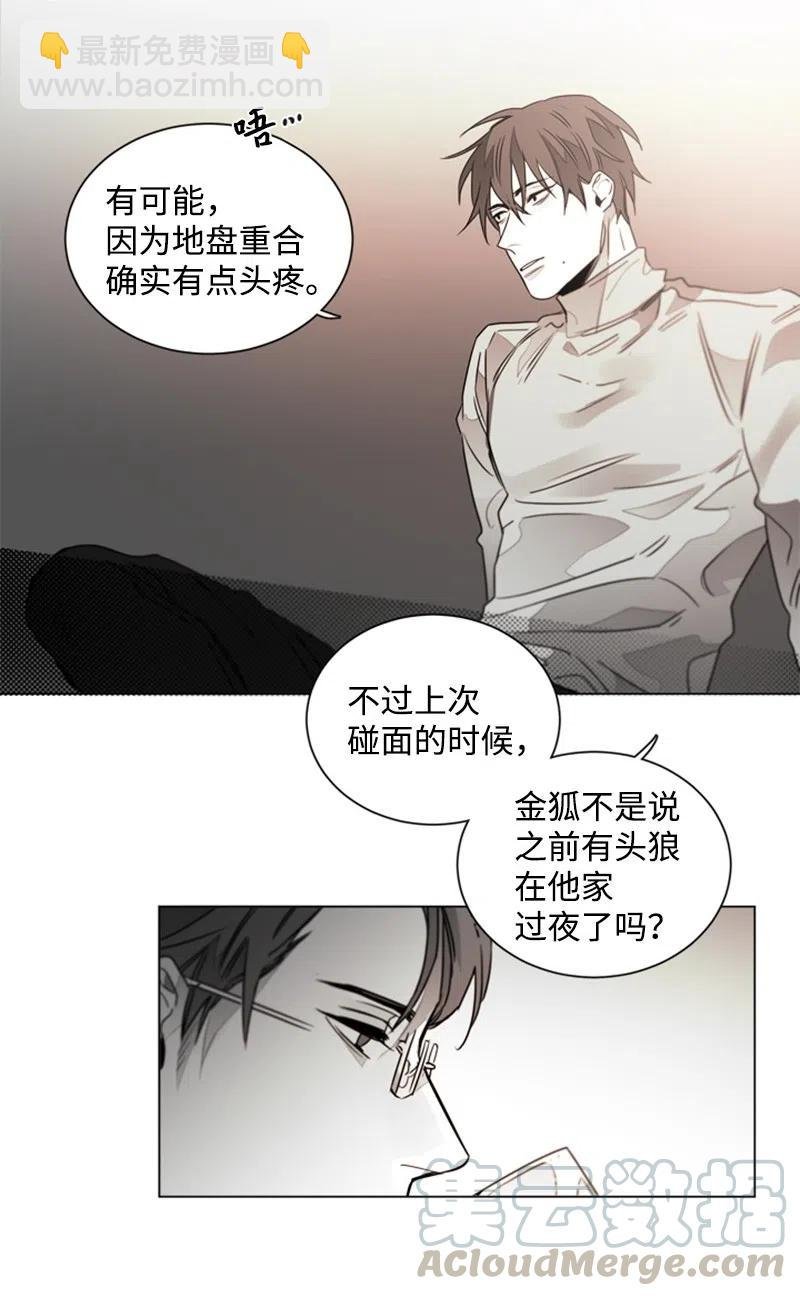 15 狐狸和狼