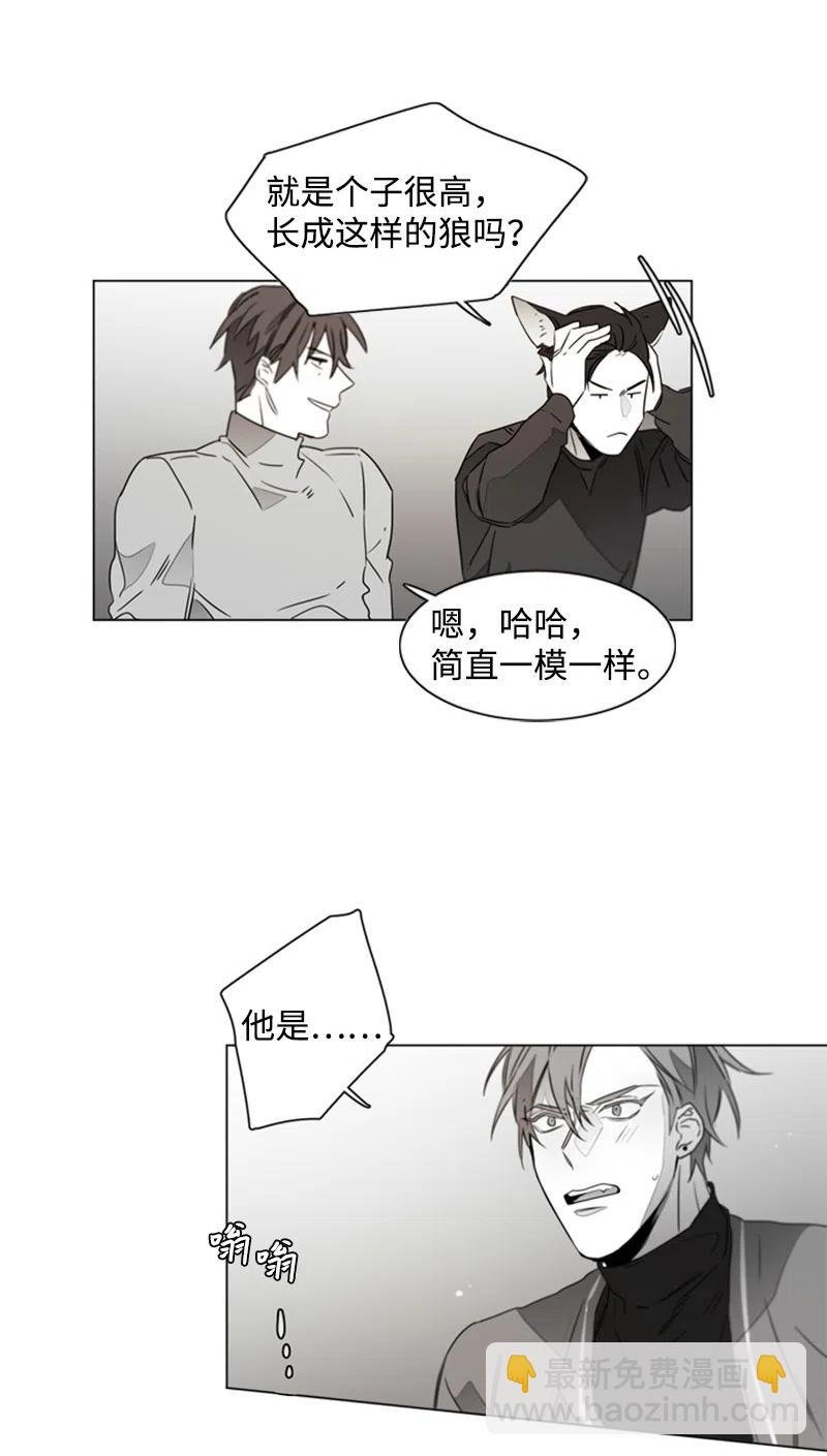 15 狐狸和狼