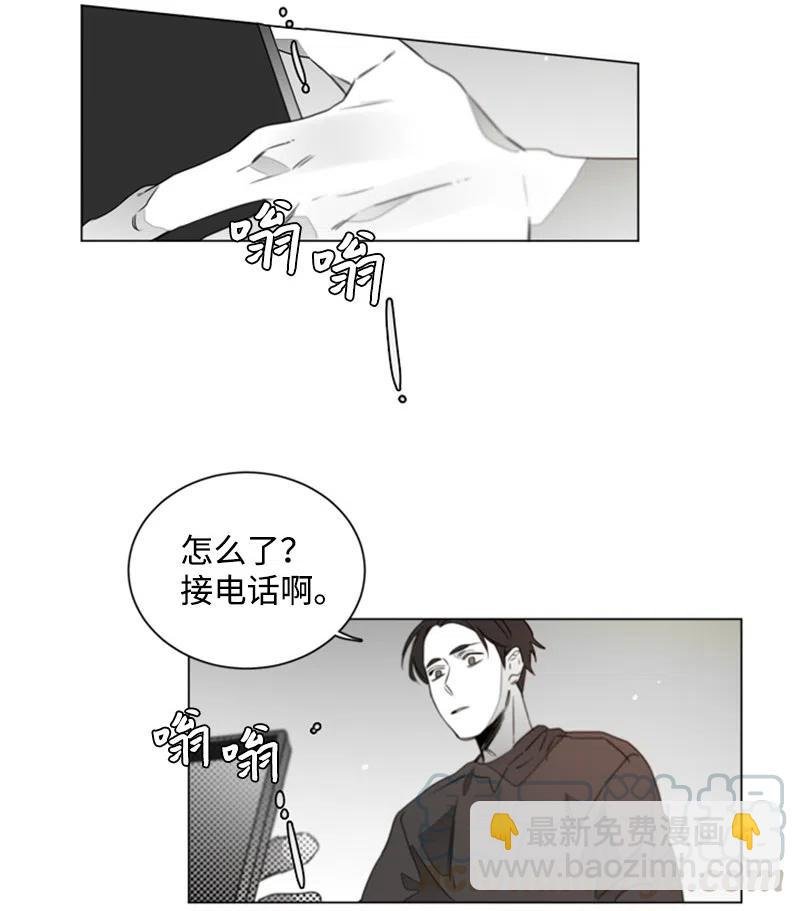 15 狐狸和狼
