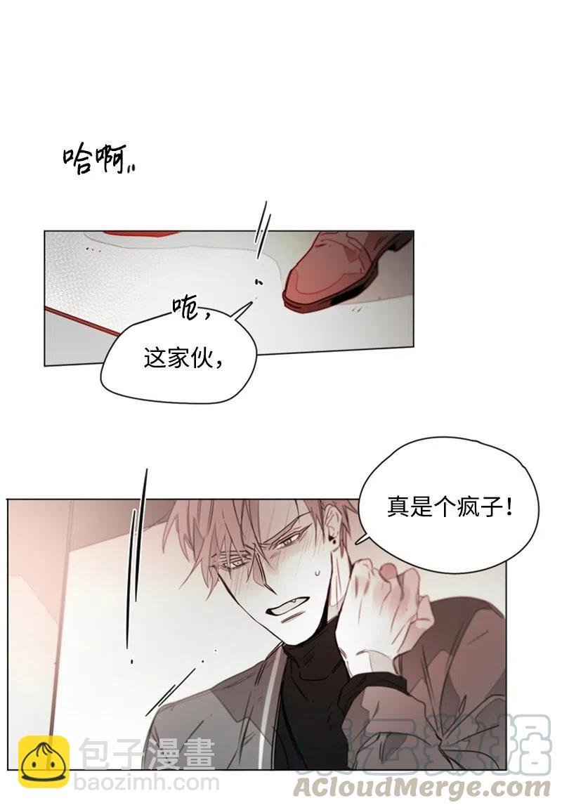 15 狐狸和狼