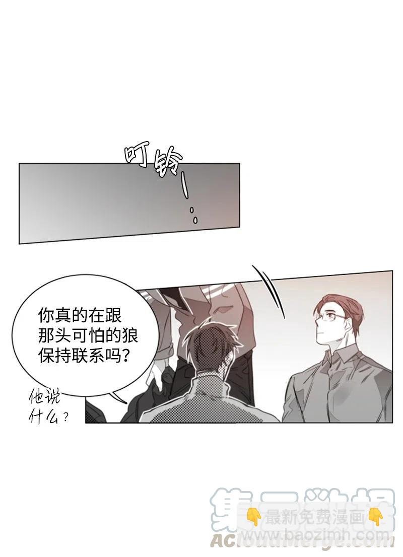 15 狐狸和狼