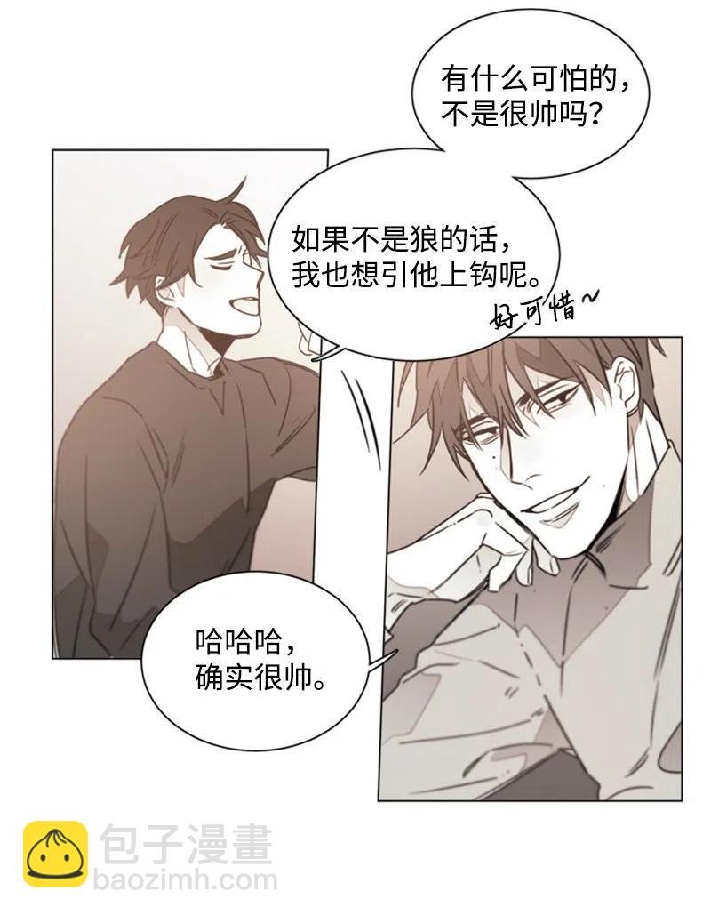 15 狐狸和狼