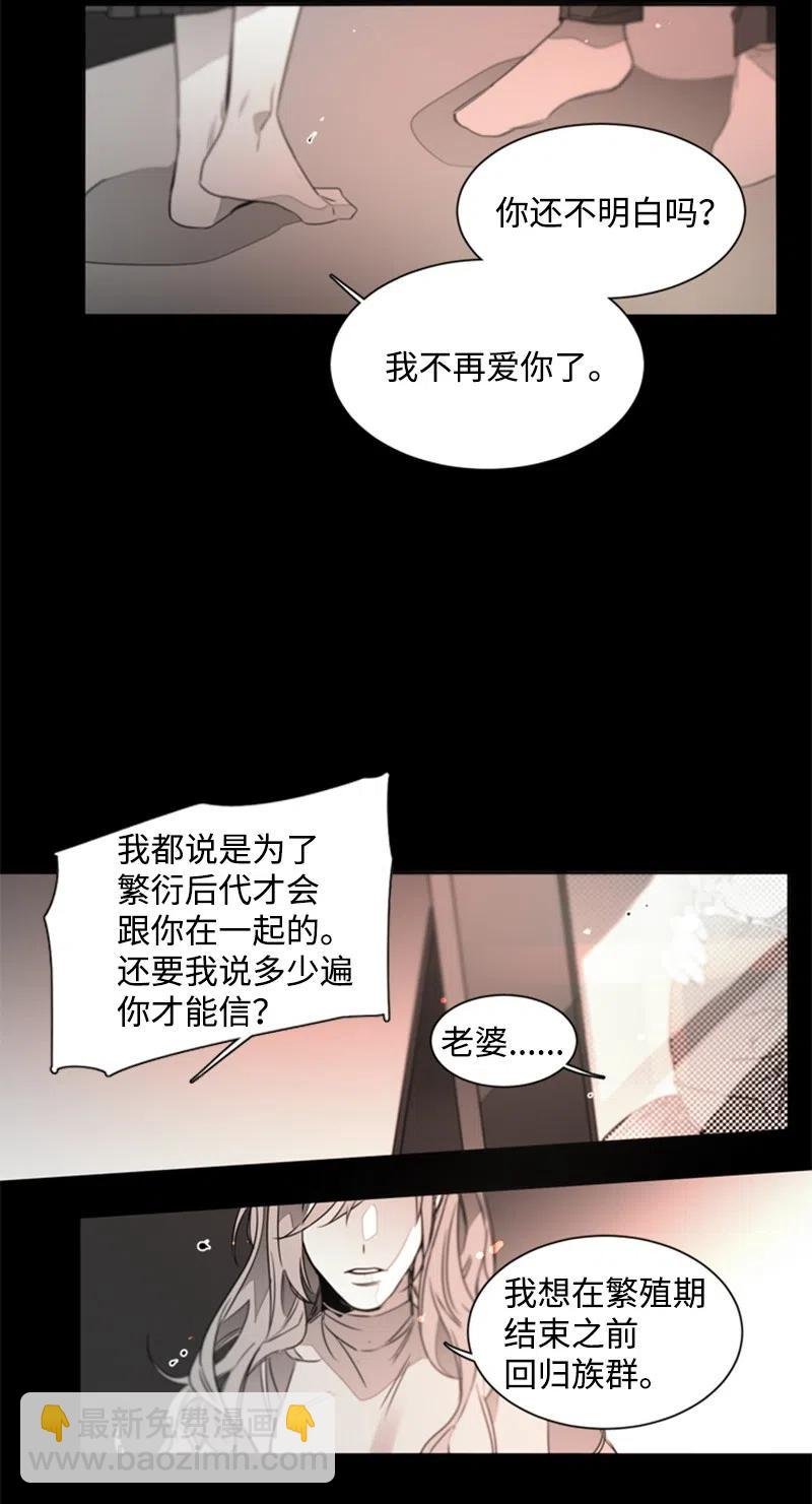17 新的家人