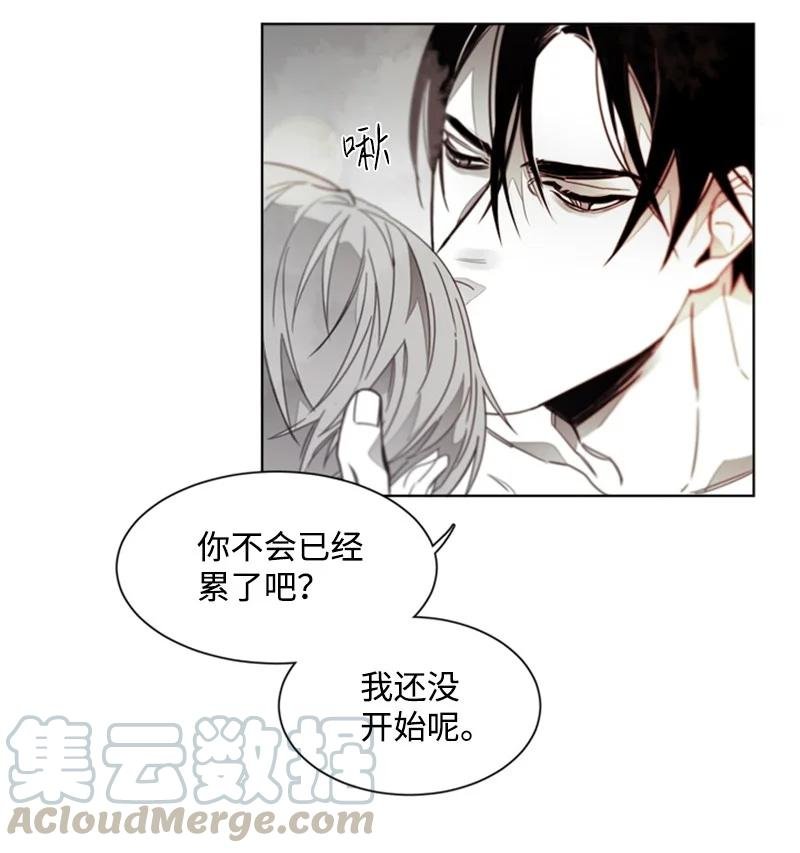 31 狼的忠诚