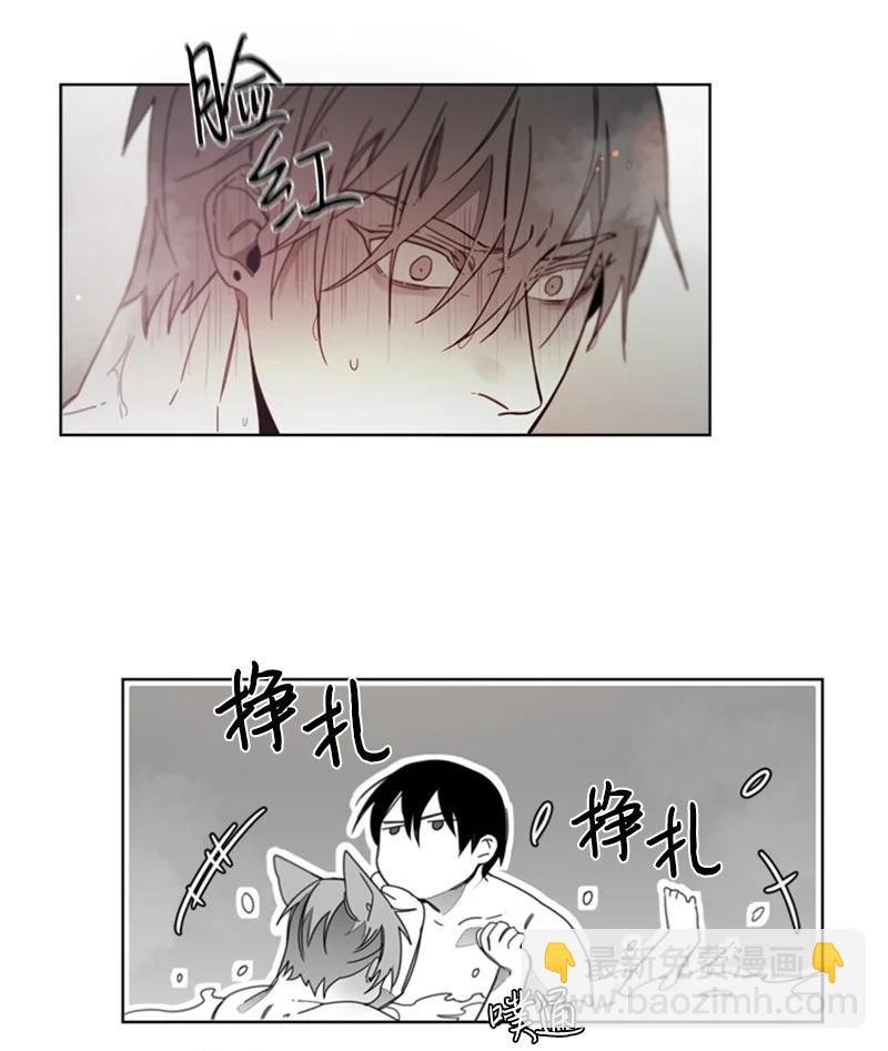 31 狼的忠诚