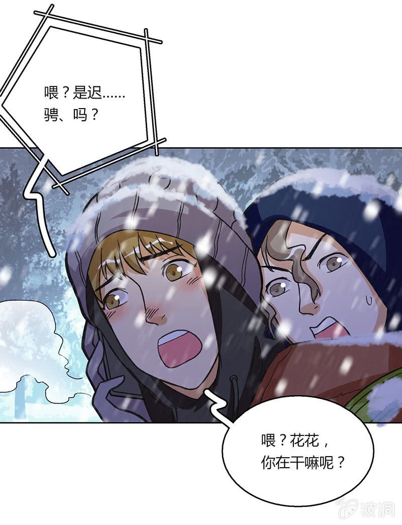 风雪夜归情（上）