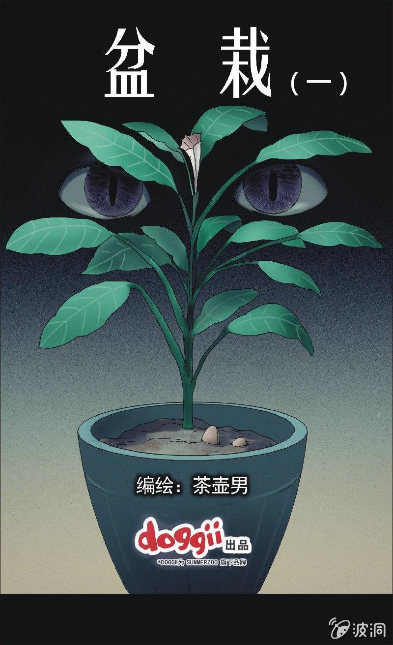 17. 盆栽（一）