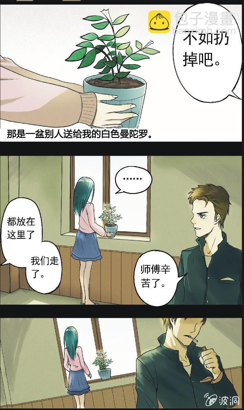 17. 盆栽（一）