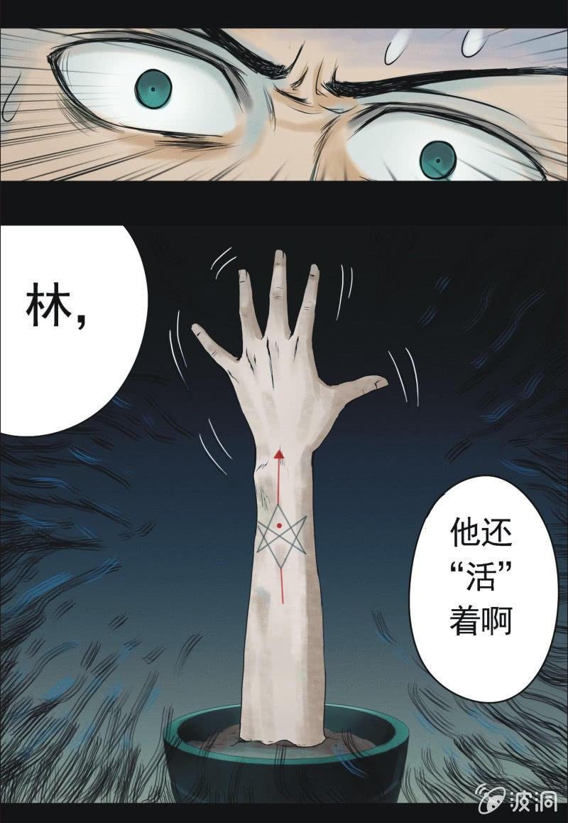 18. 盆栽（二）
