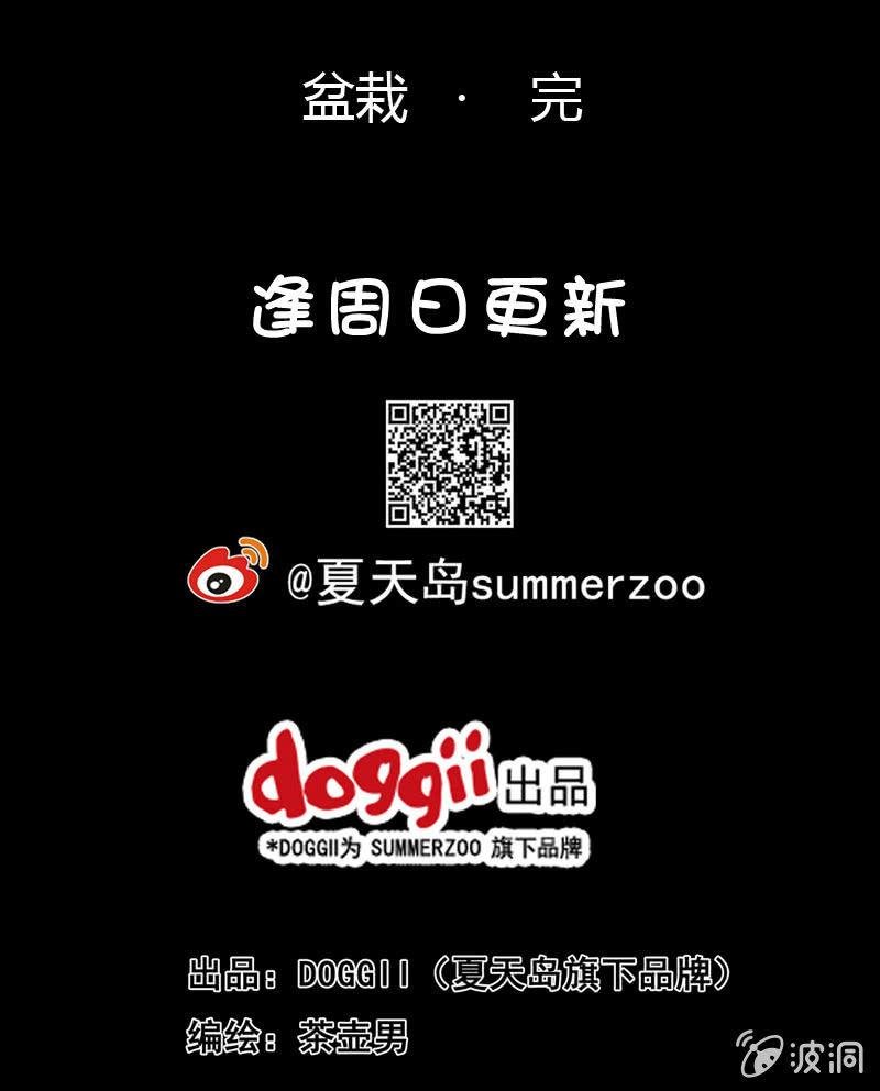21. 盆栽（五）