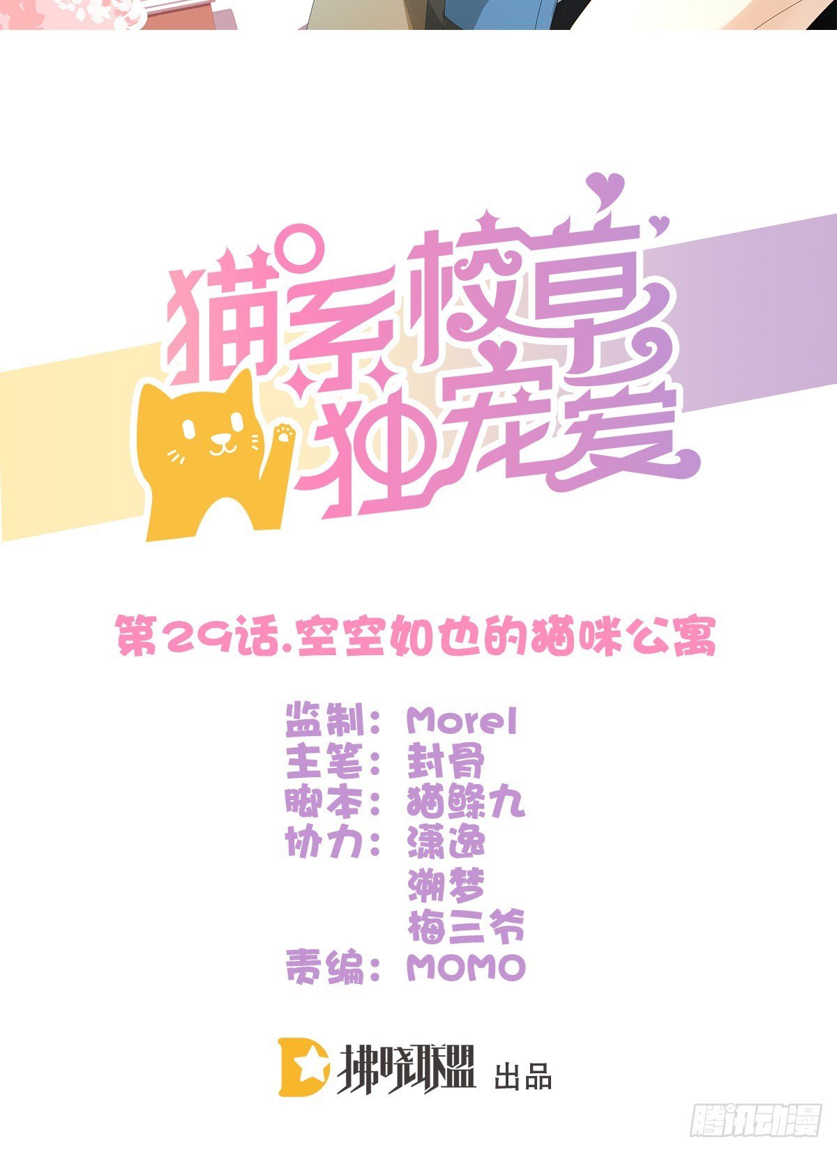 空空如也的猫咪公墓