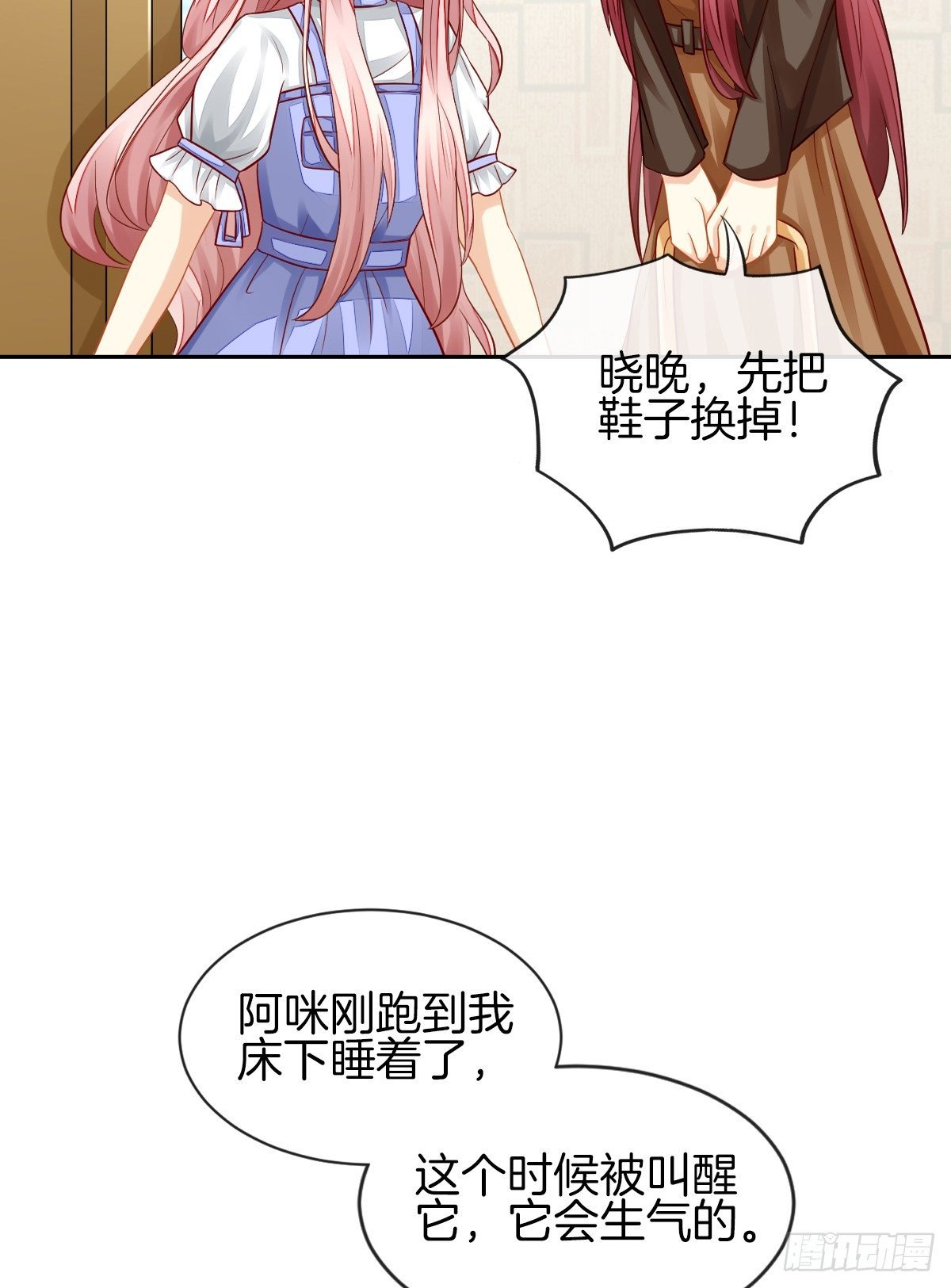 空空如也的猫咪公墓