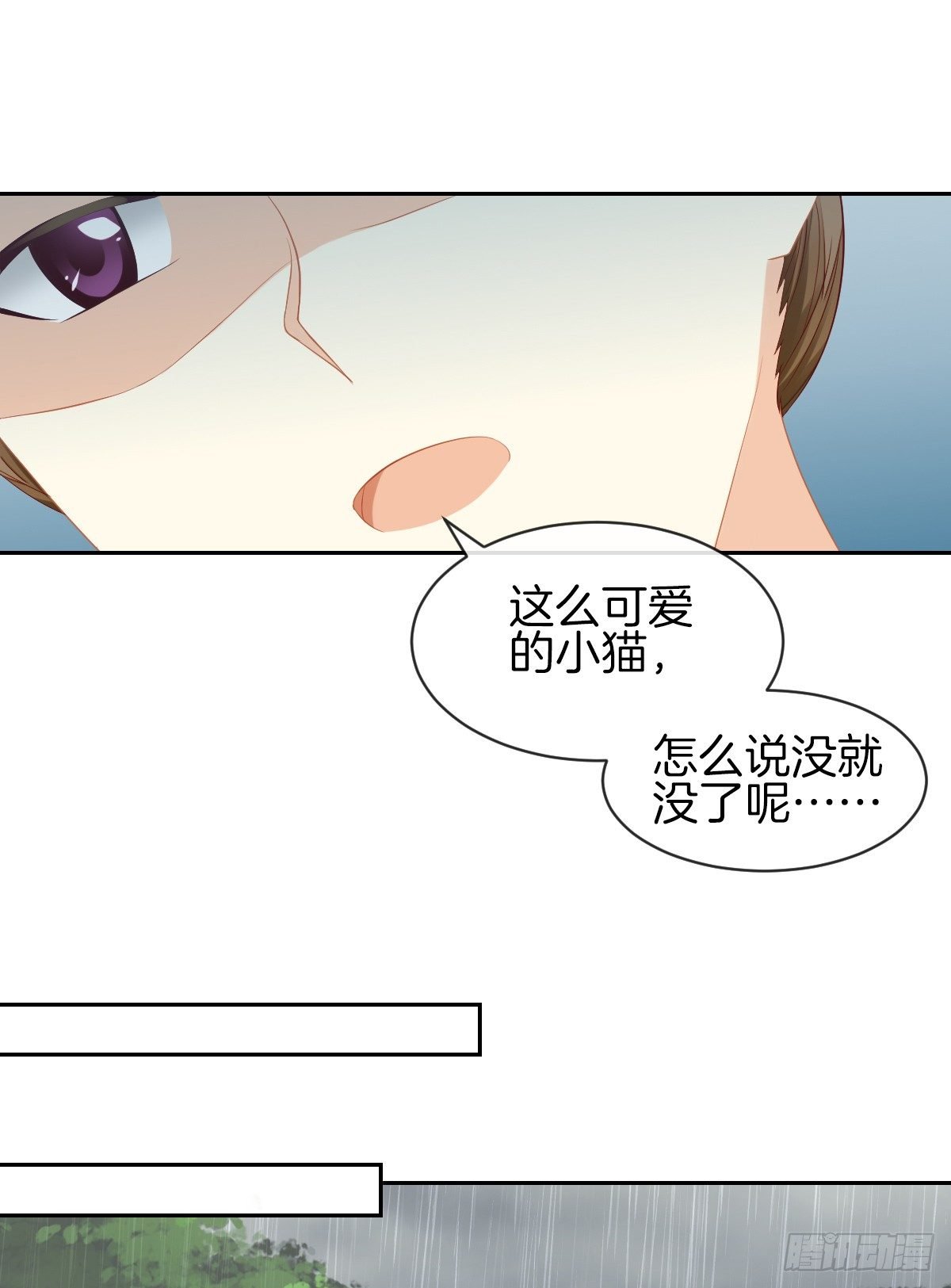 空空如也的猫咪公墓