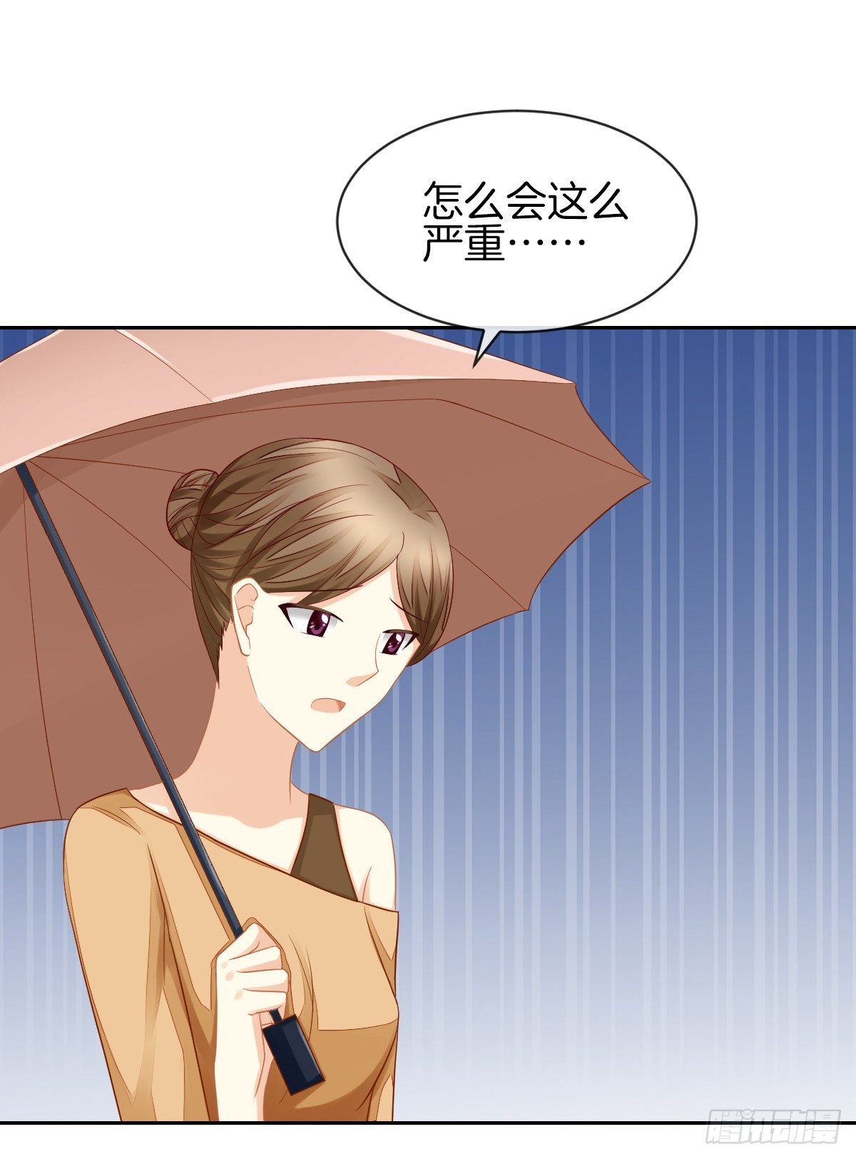空空如也的猫咪公墓