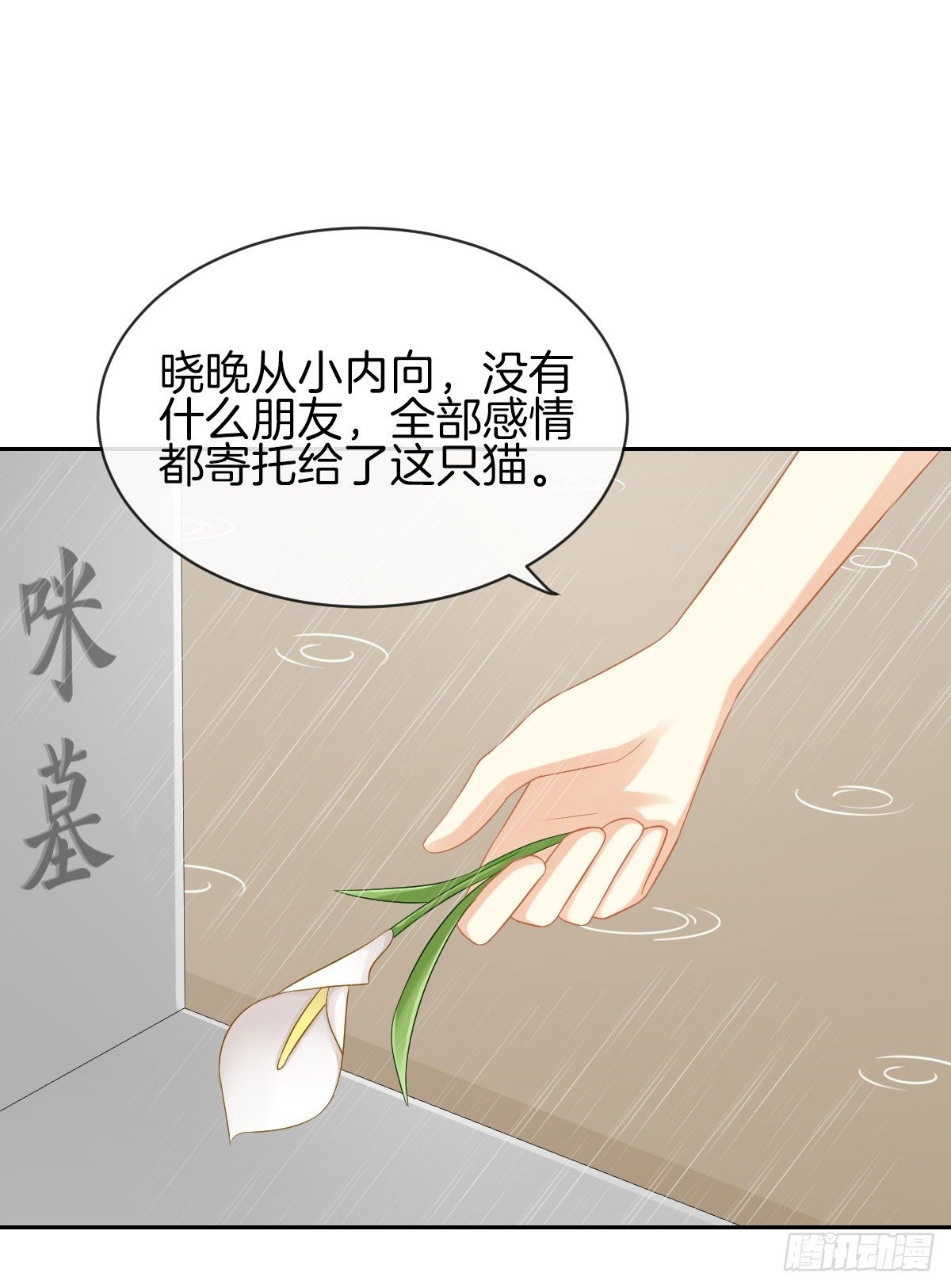 空空如也的猫咪公墓