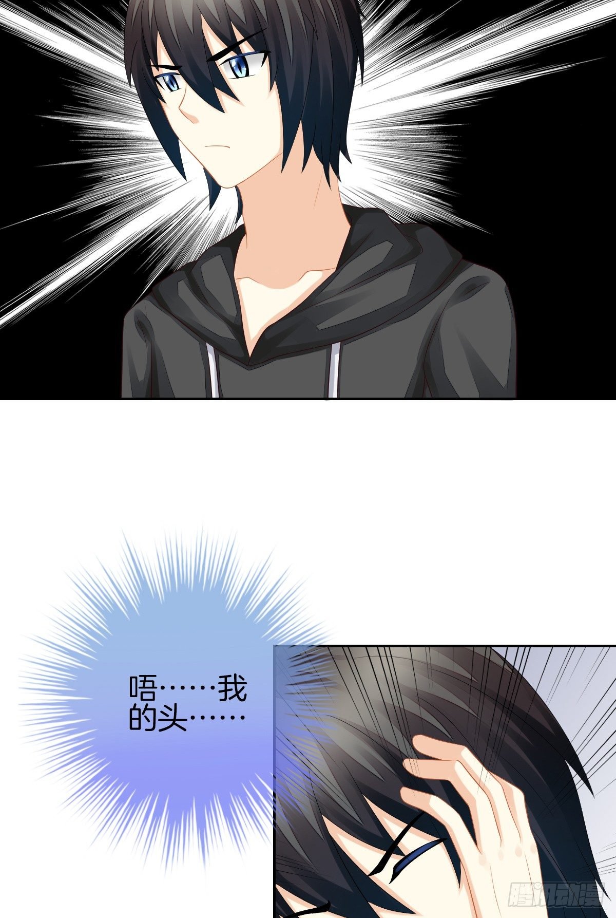 空空如也的猫咪公墓