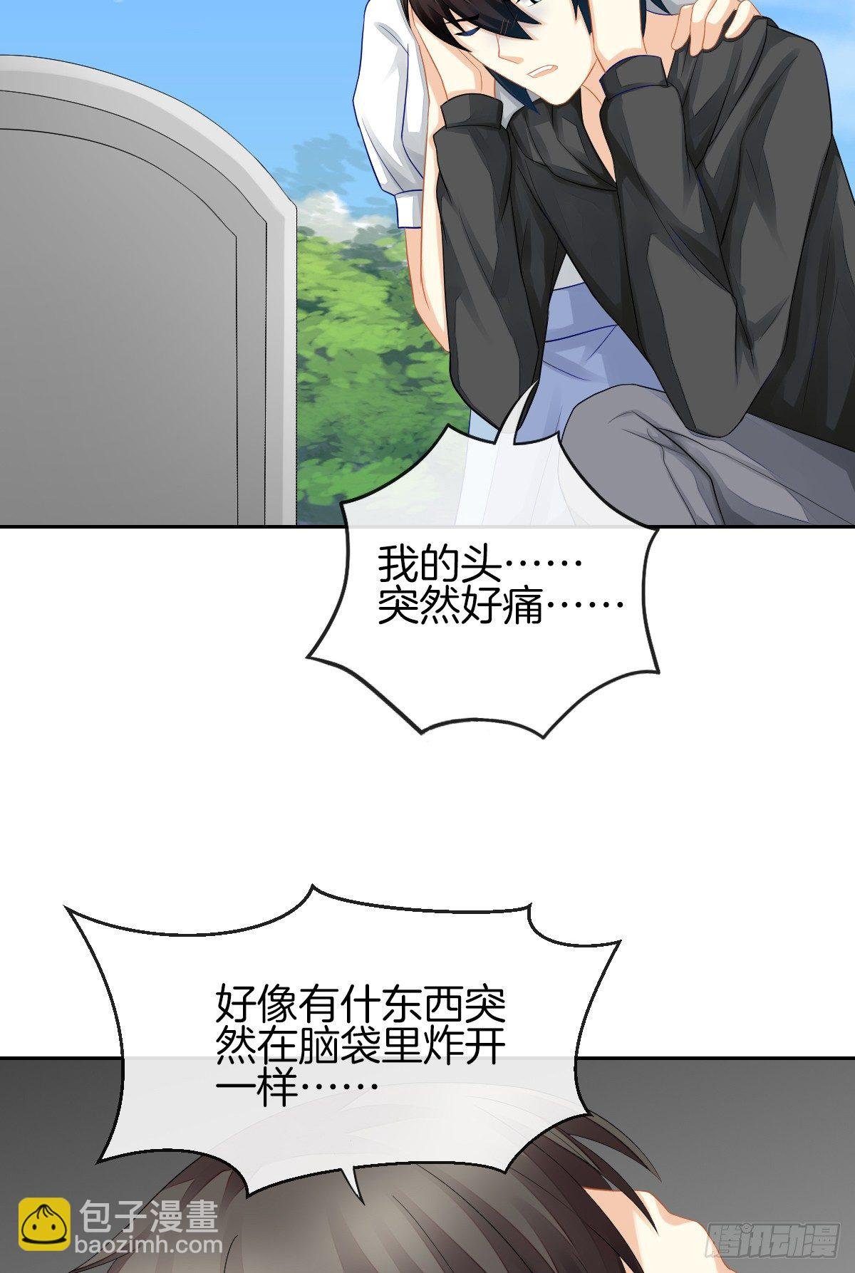空空如也的猫咪公墓