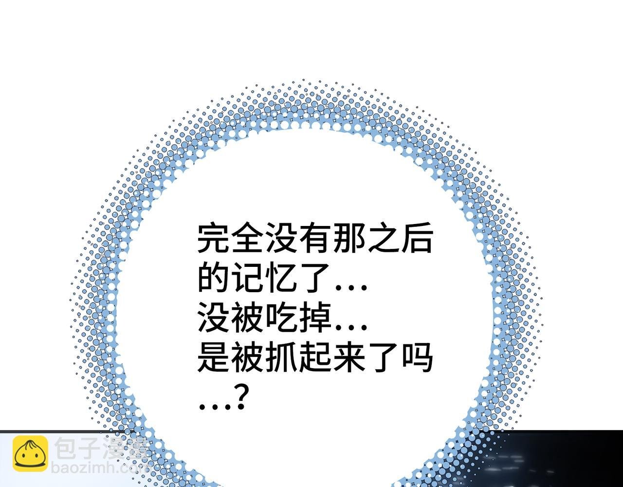 极致与轻言