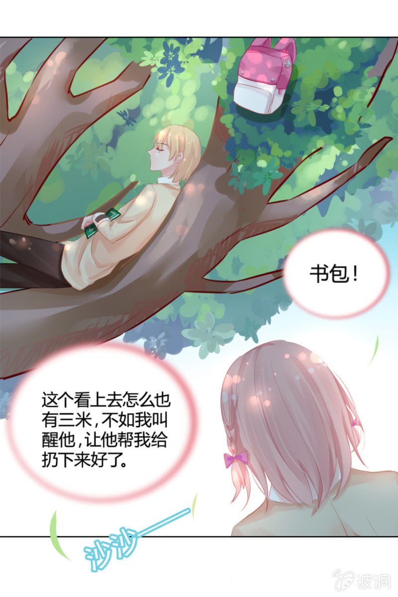 天上掉下个花美男