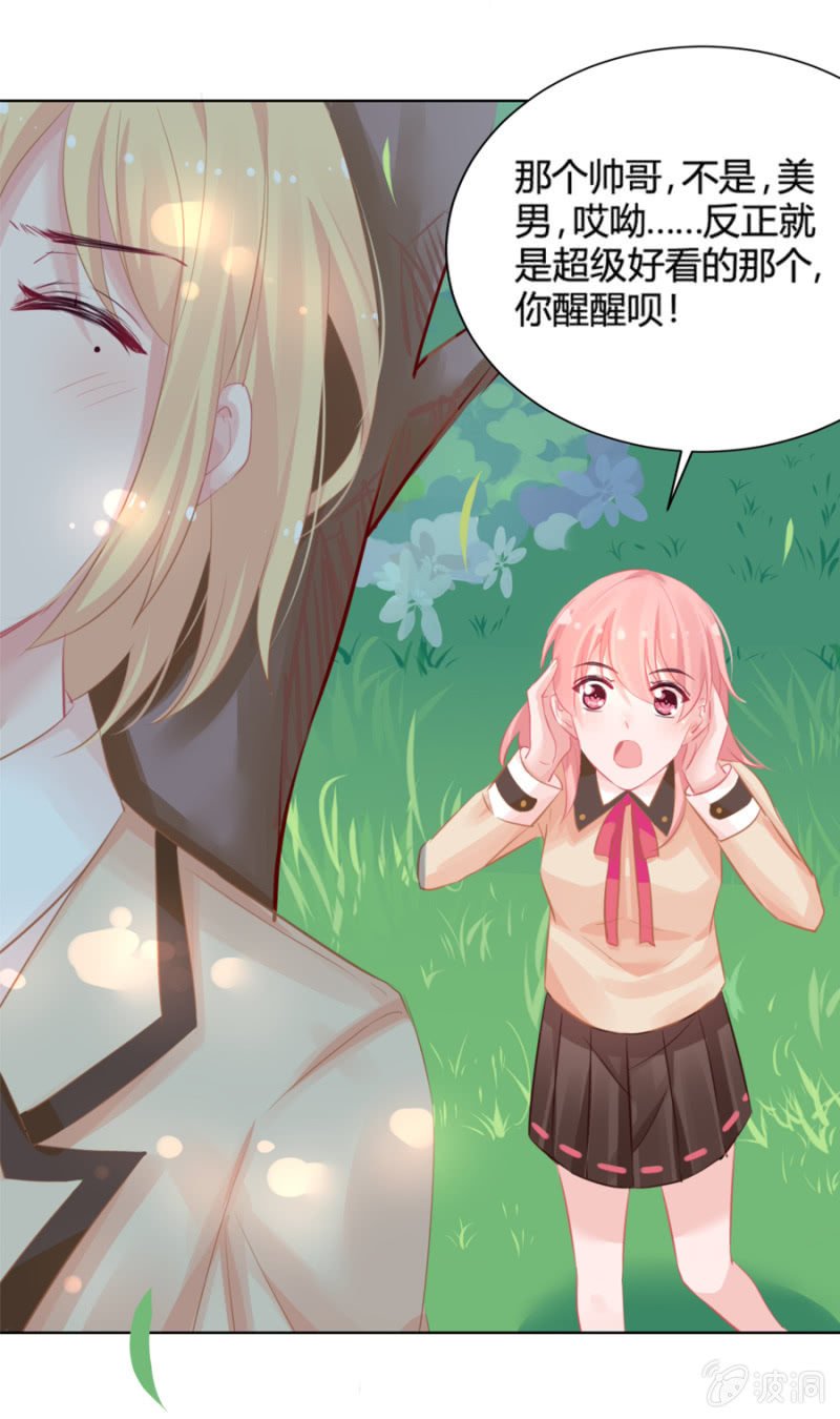 天上掉下个花美男