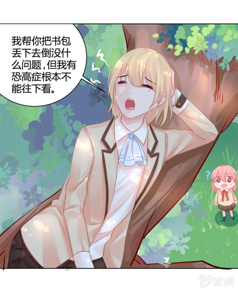 天上掉下个花美男