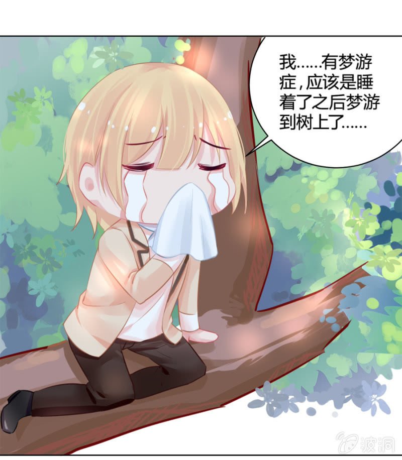天上掉下个花美男