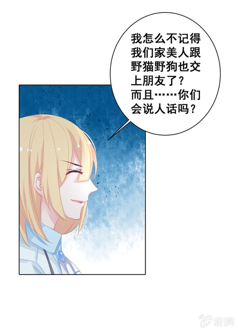 你收了我吧！