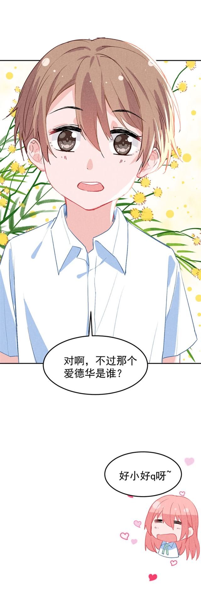 爱德华的儿子
