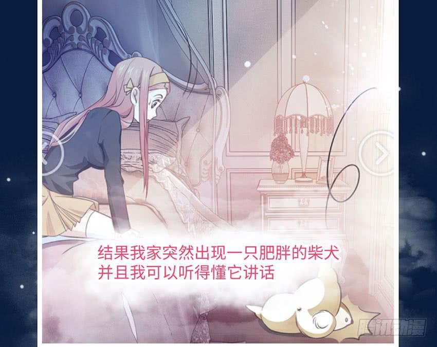 普通的烦恼