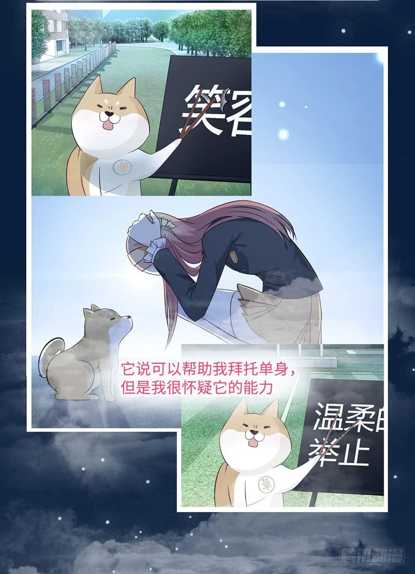 普通的烦恼