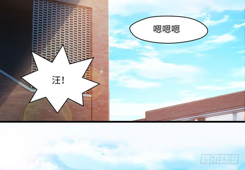 普通的烦恼