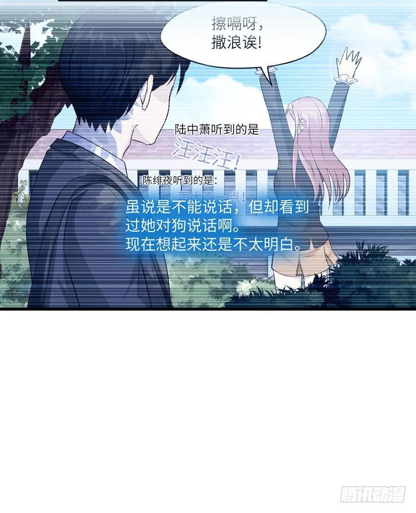 你的名字