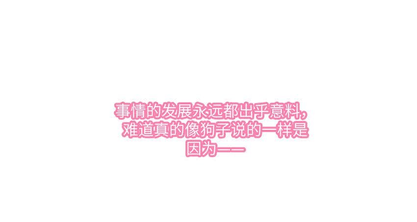 霸道总裁的温柔