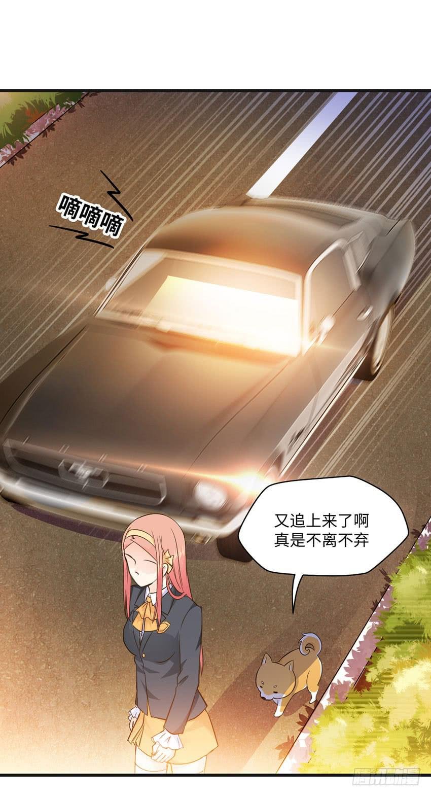 霸道总裁的温柔