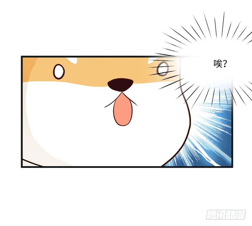被买下来的甜品店