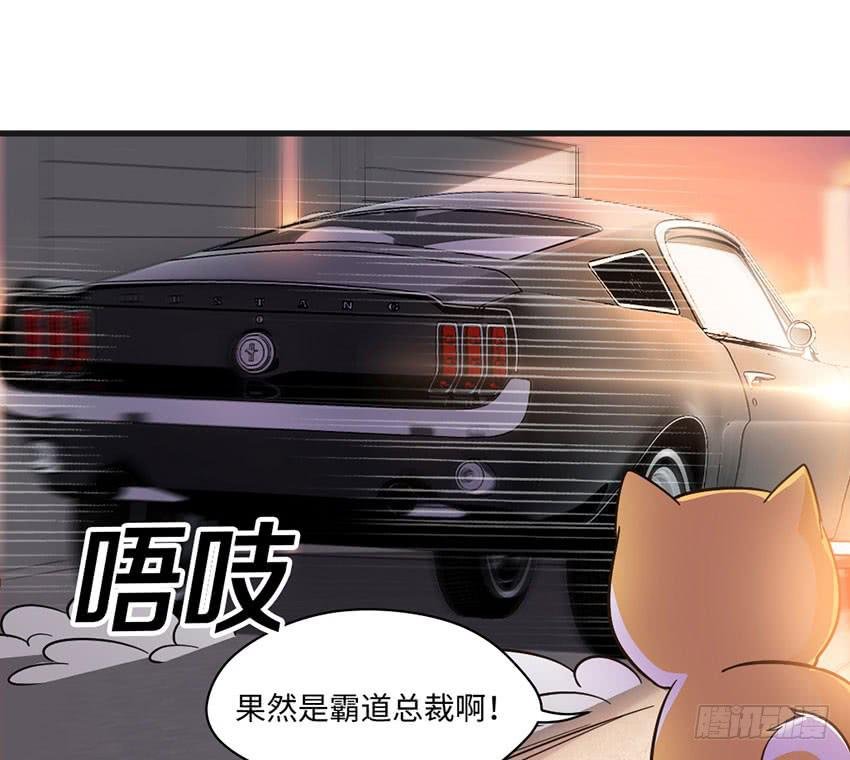 被买下来的甜品店