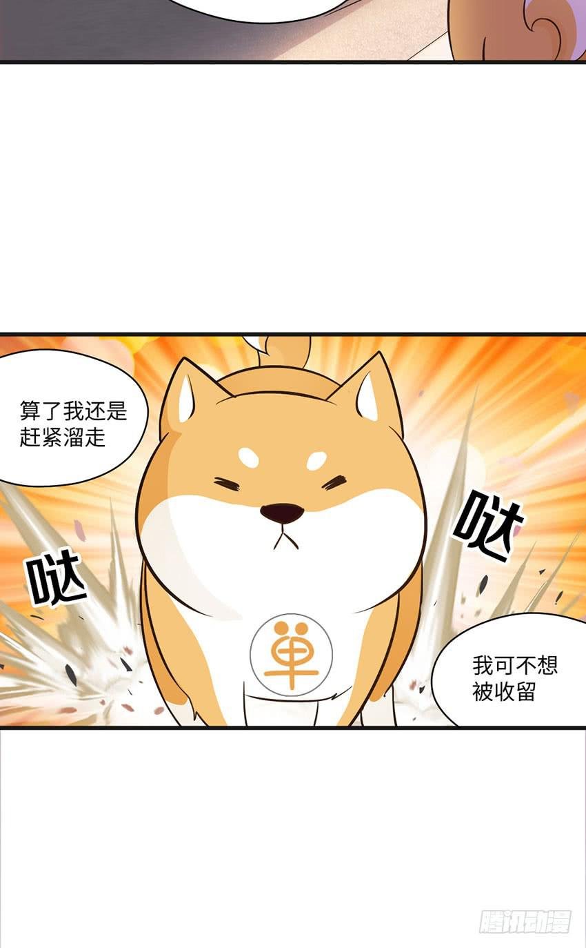 被买下来的甜品店