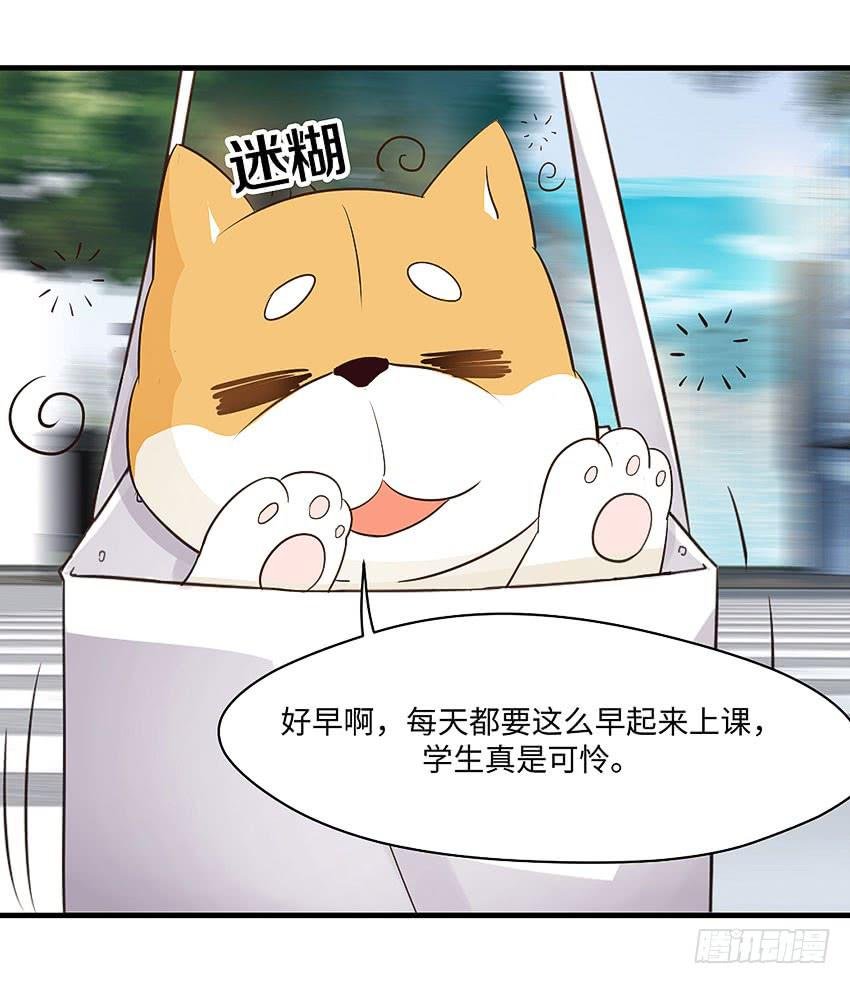 31·奇怪的十字路口