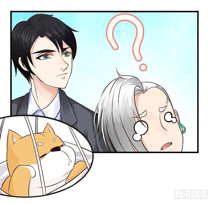 35·保护小狗！