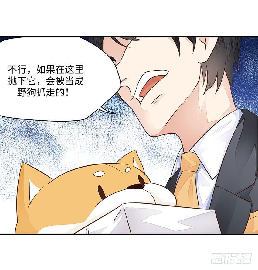 35·保护小狗！