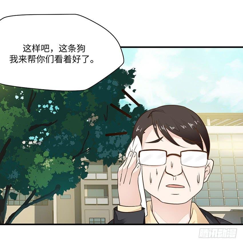35·保护小狗！